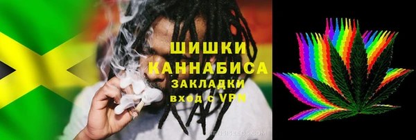 шишки Пестово